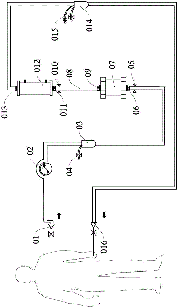 Blood purifying apparatus and blood purifying system