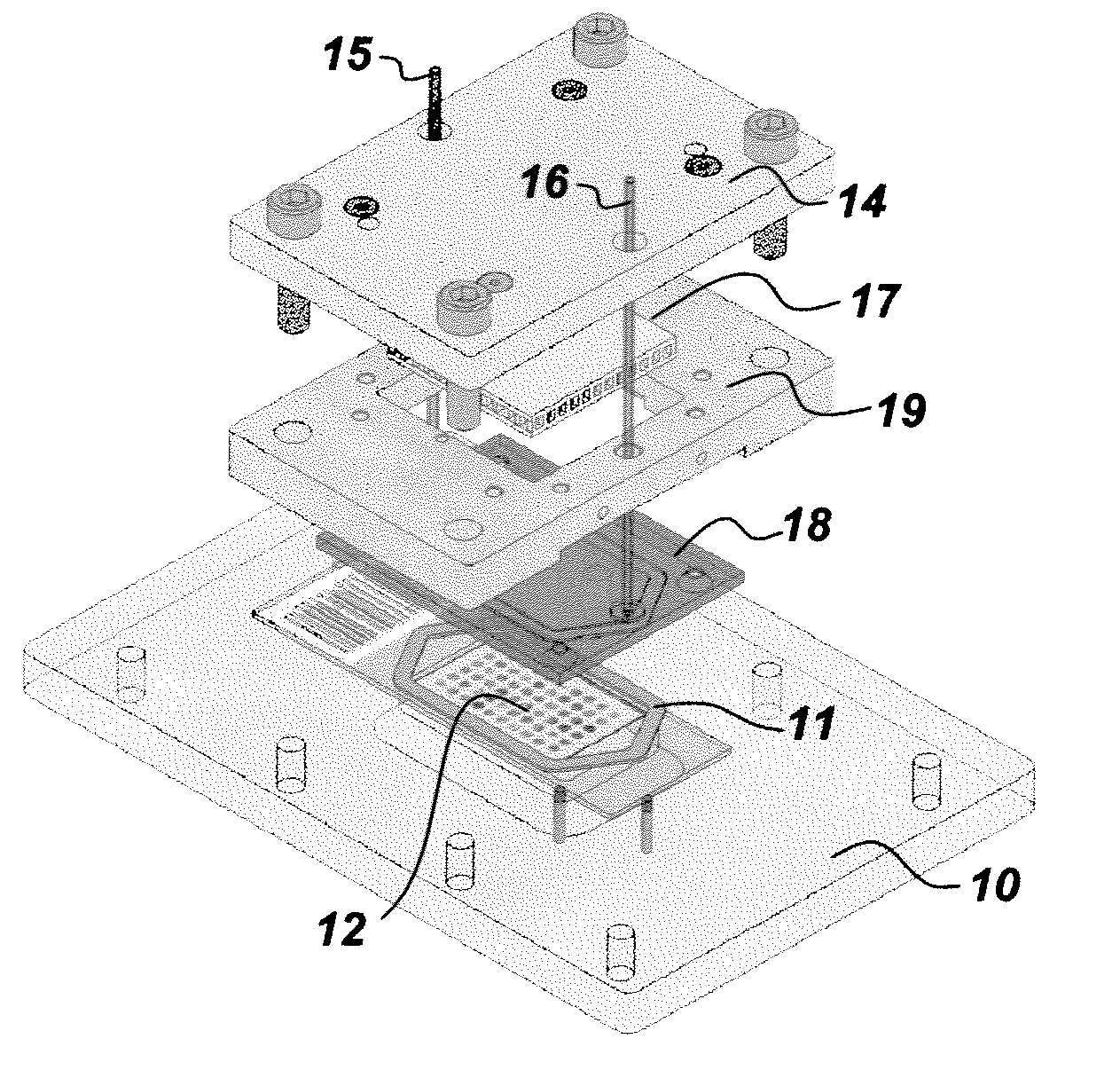 Iterative staining of biological samples