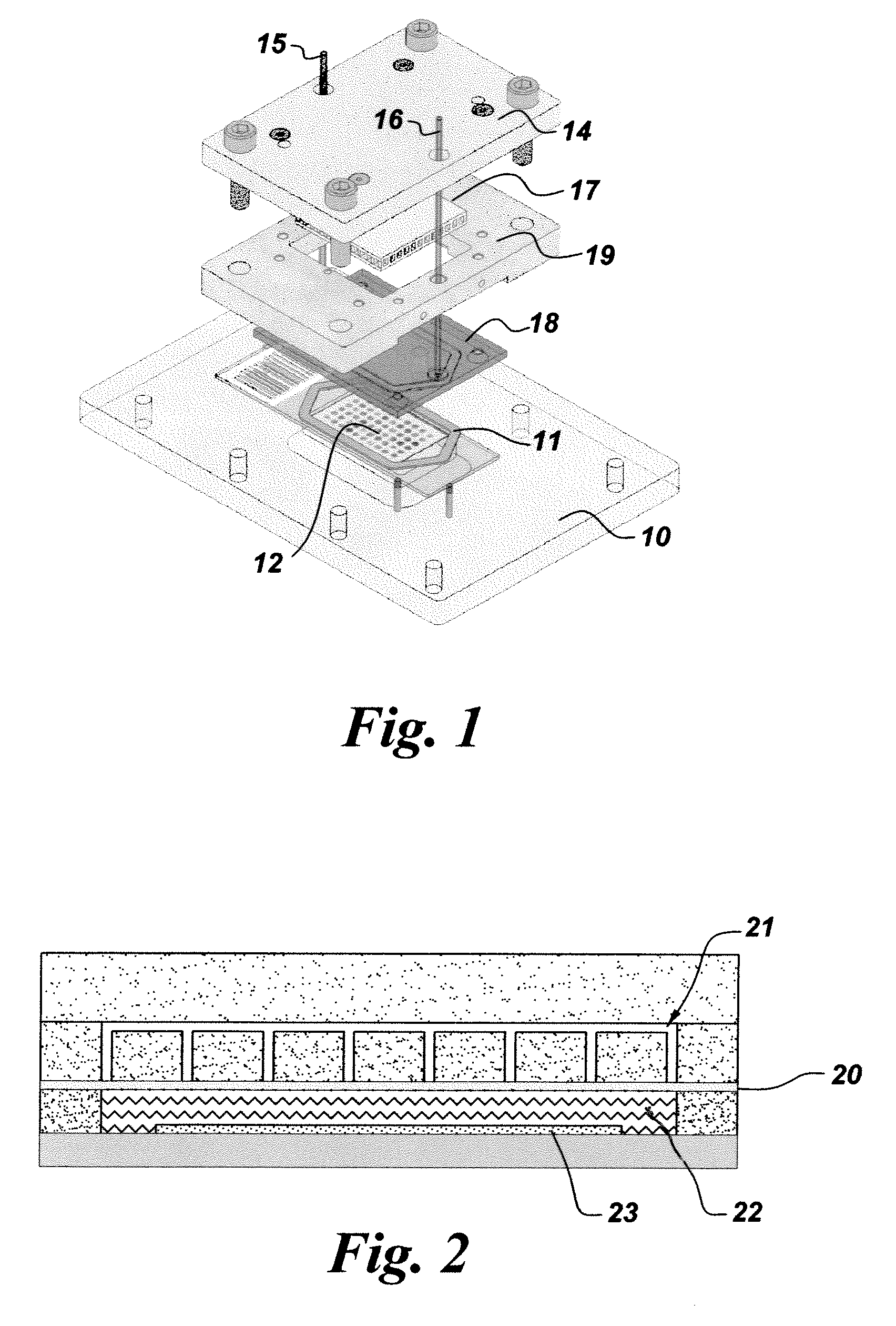 Iterative staining of biological samples