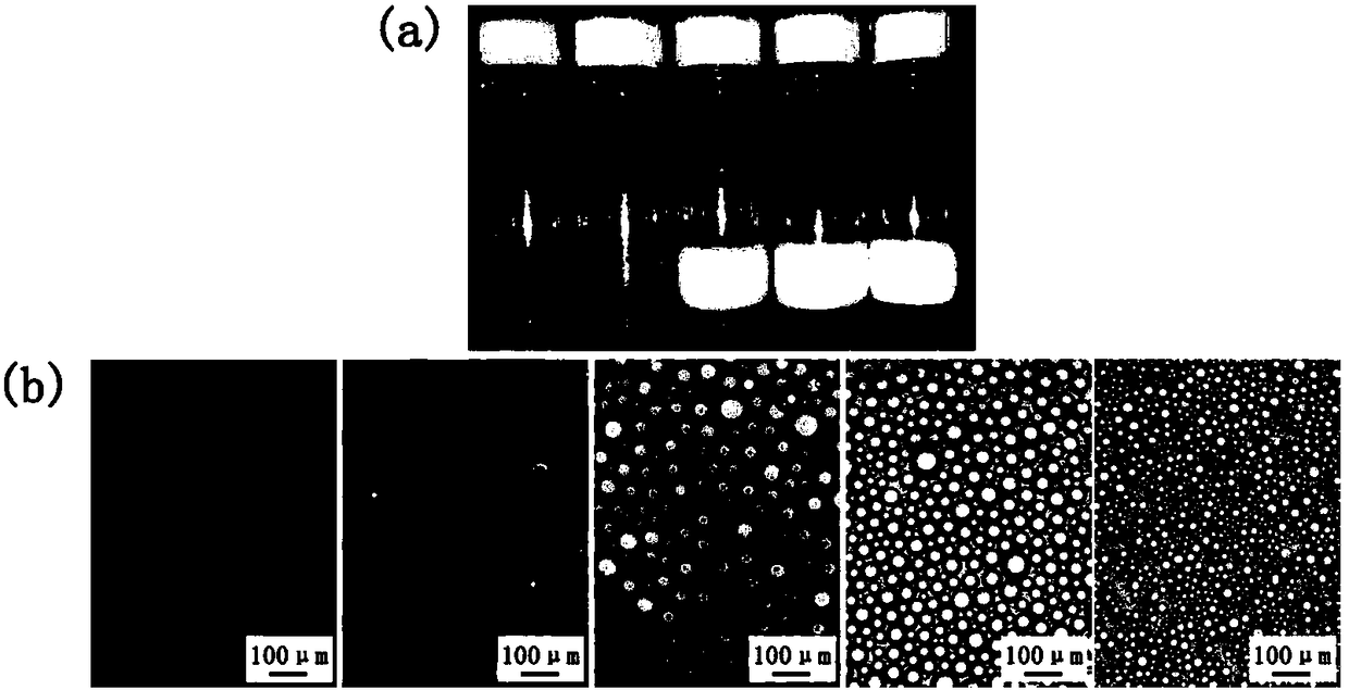 Application of self-assembled micelles of amphiphilic copolymer containing thymine as emulsifier