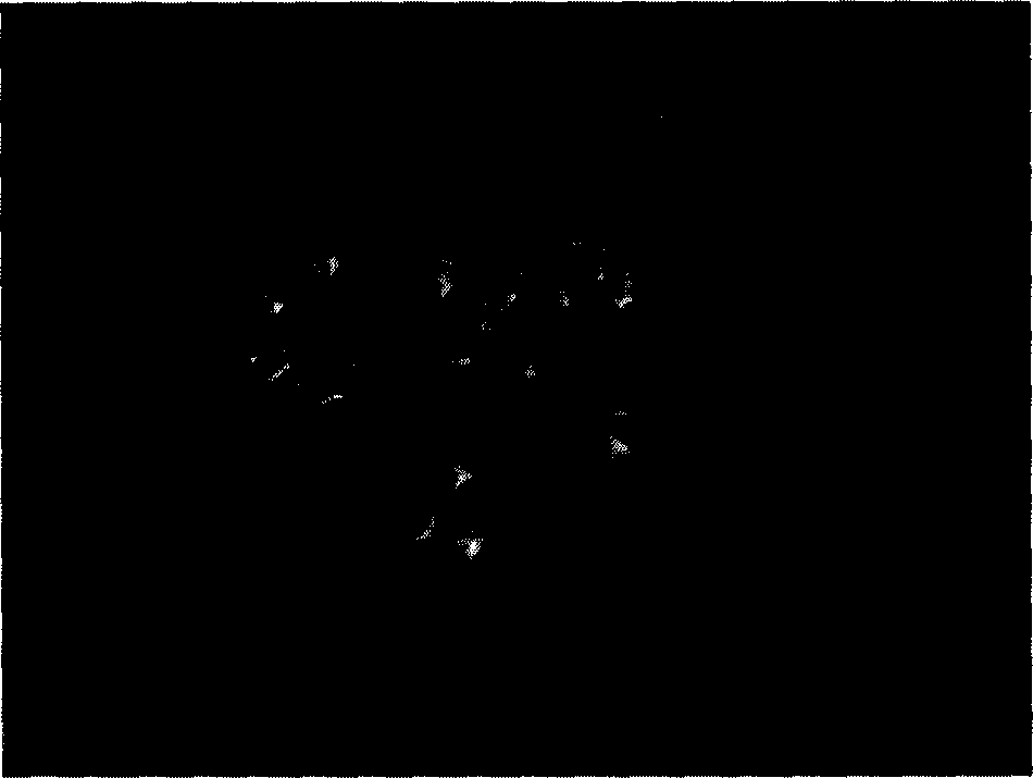 Arthrodial cartilage proto micro-carrier