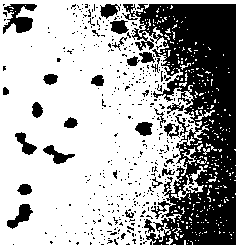 Hydrogen peroxide response-type targeted medicine carrying nanomaterial and preparation method