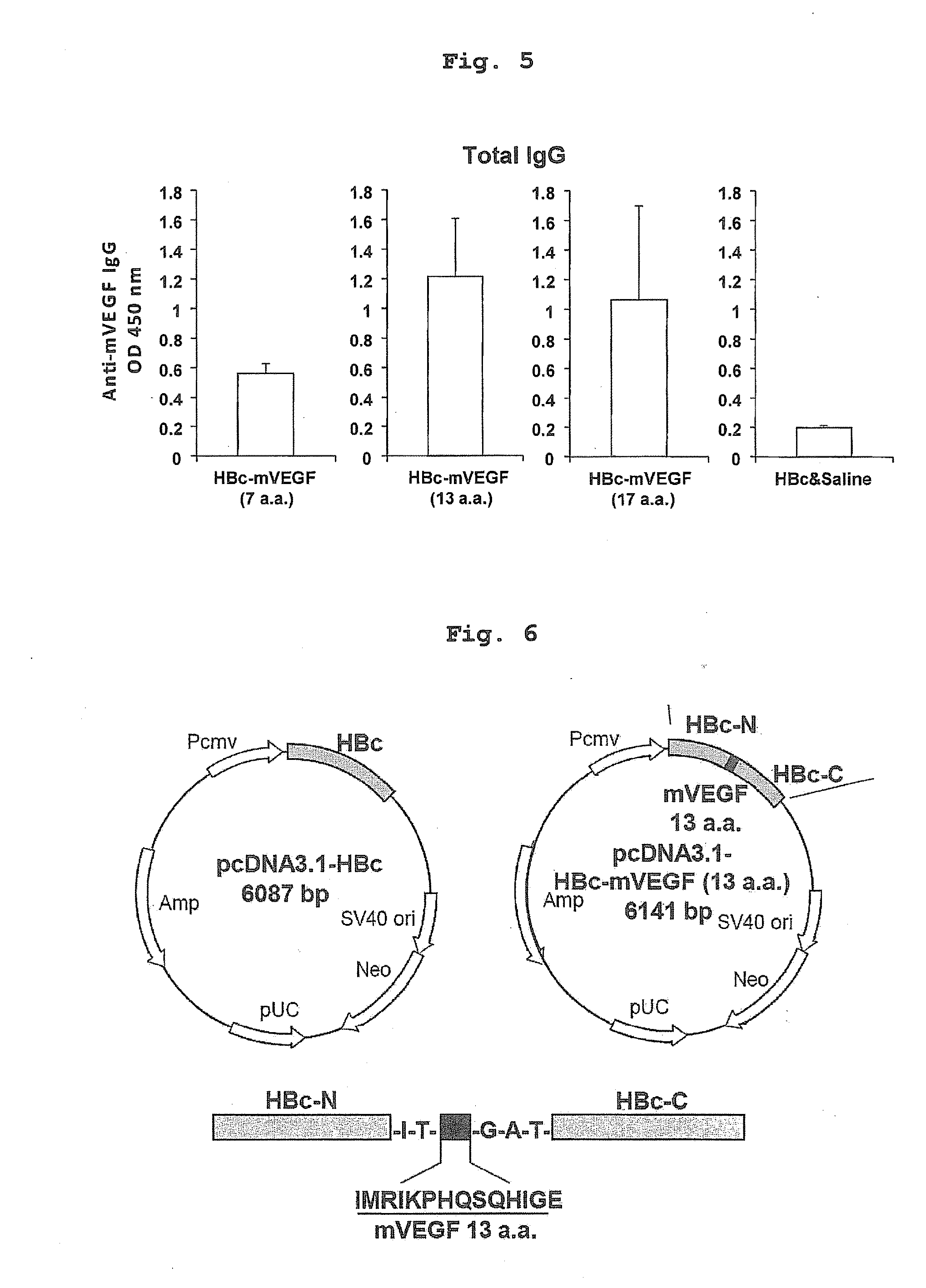 DNA vaccine containing vegf-specific epitope and/or angiopoietin-2-specific epitope