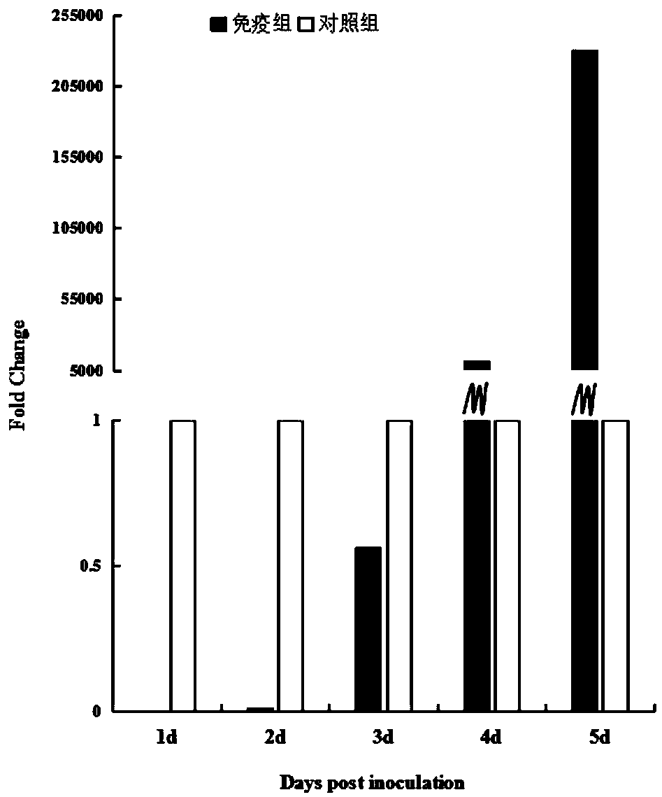 Application of antigen causing antibody-dependent enhancement of Tembusu virus