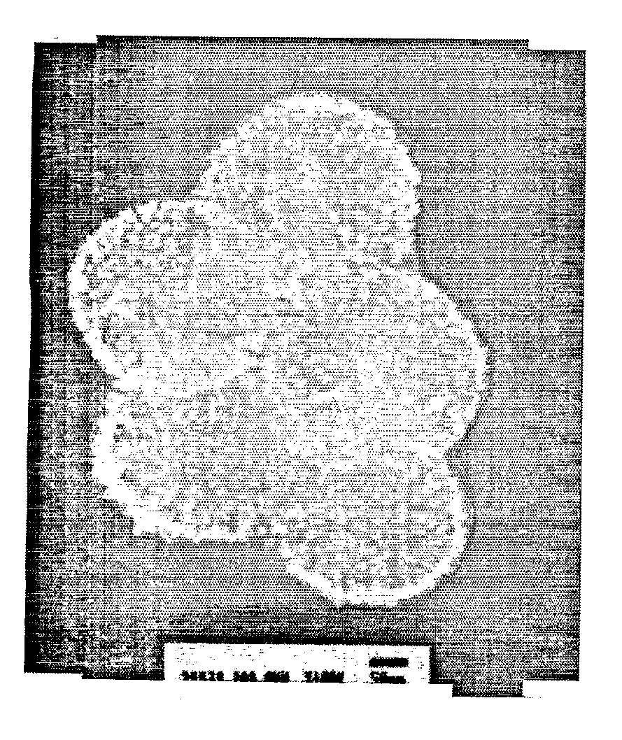 Nanoshells and Discrete Polymer-Coated Nanoshells, Methods For Making and Using Same