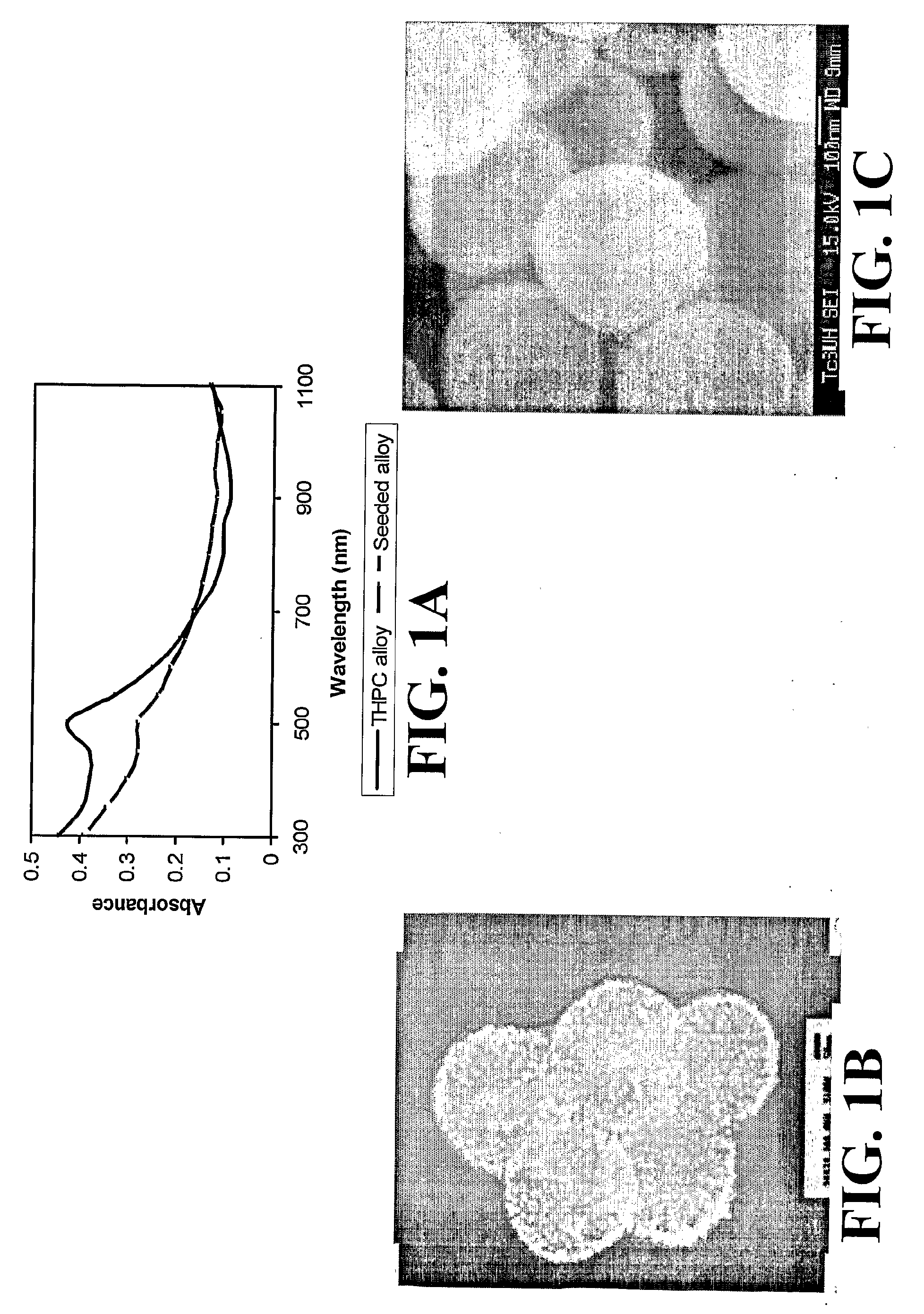 Nanoshells and Discrete Polymer-Coated Nanoshells, Methods For Making and Using Same