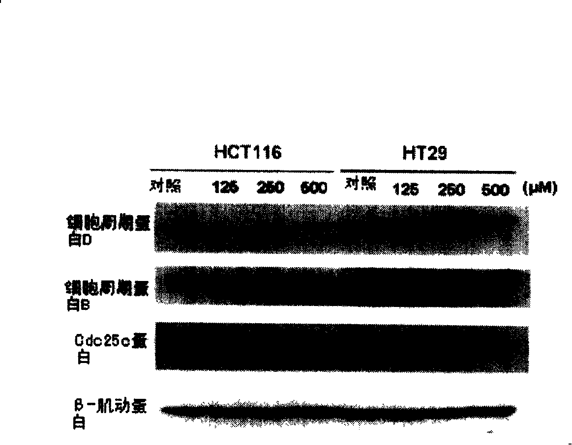 Trichostatin A derivatives, preparation method and use thereof