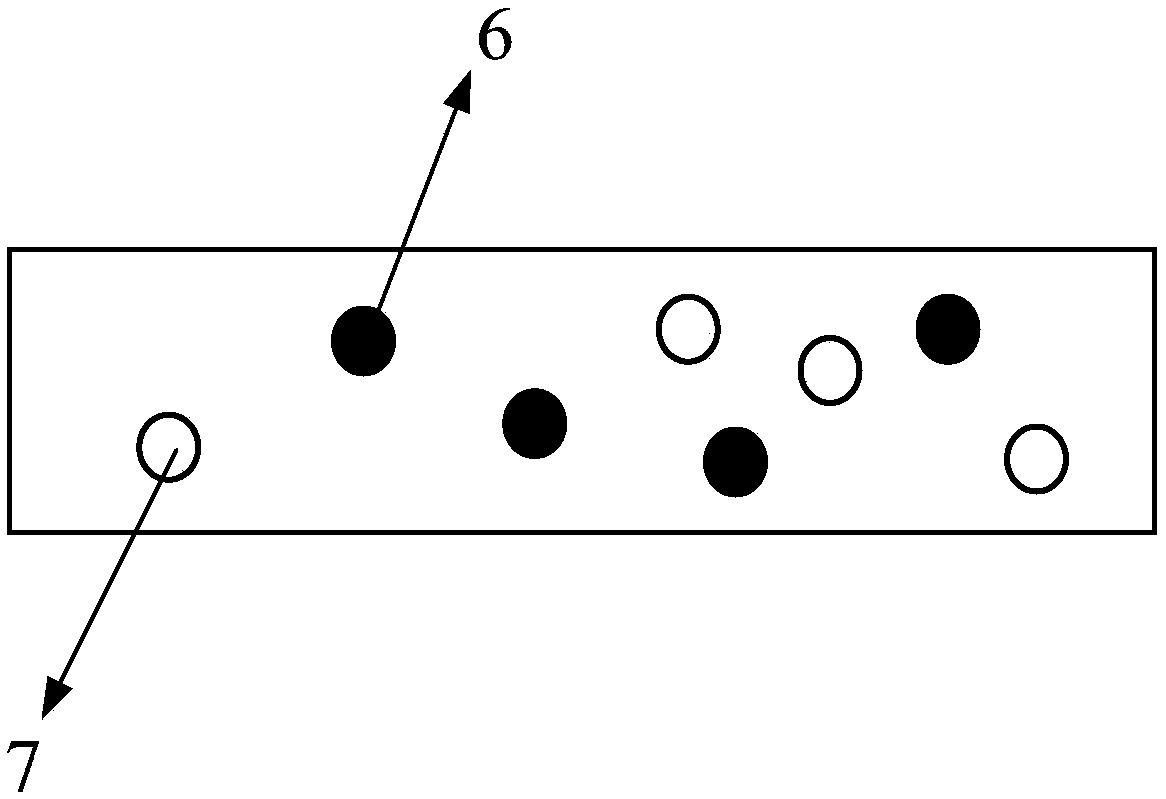 A sensor chip for microcystin detection and its mobile monitoring equipment