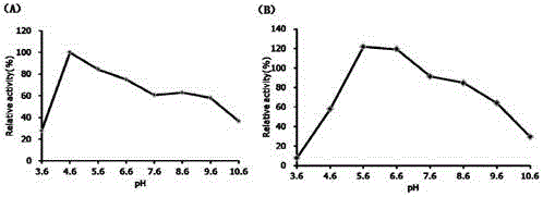 Incision beta-1,3-glucanase coding gene, as well as enzyme, preparation method and application thereof