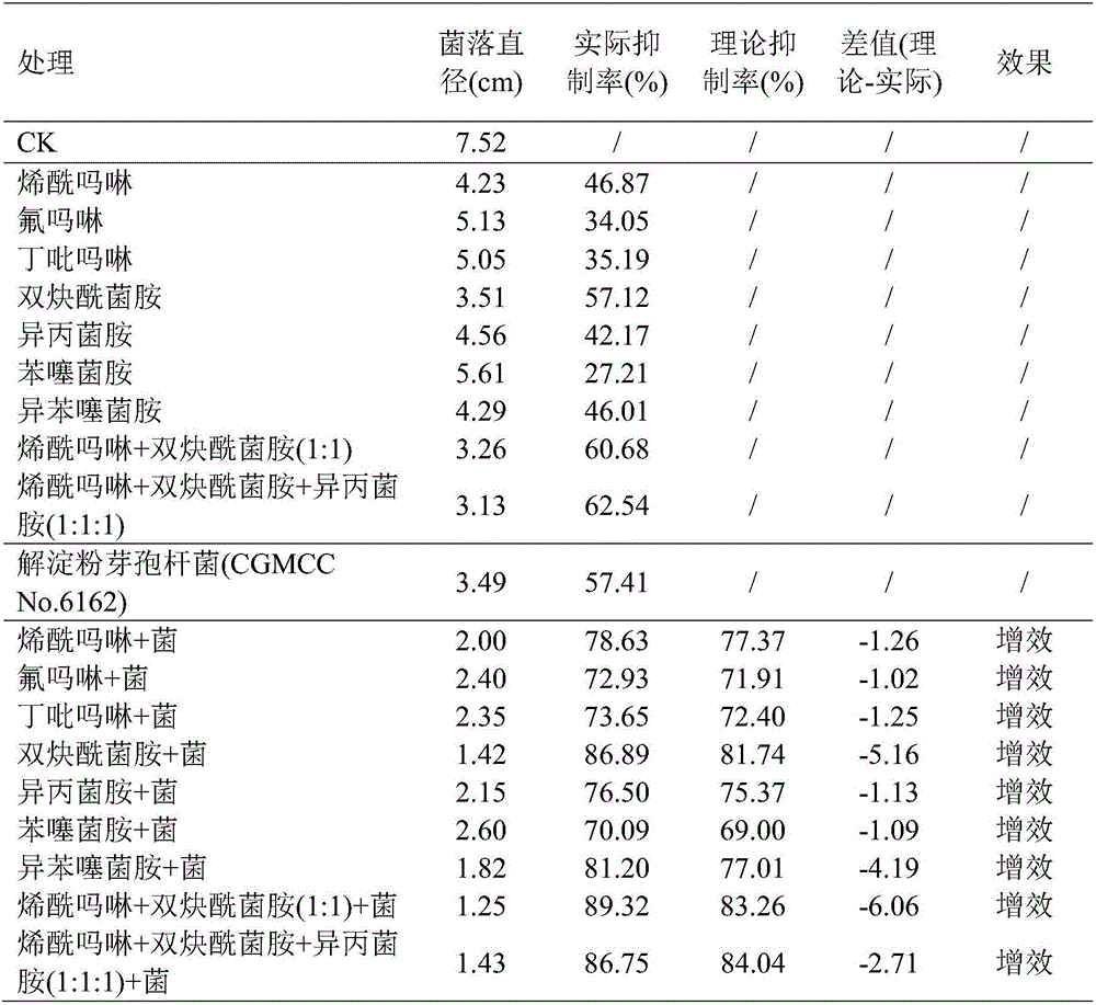 Bactericide composition containing chemical bactericides and biocontrol bacterium, preparation and application of bactericide composition or preparation