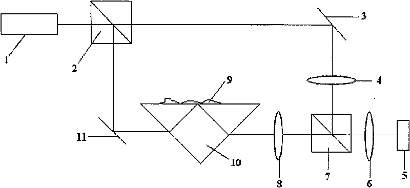 Digital holographic microscopic imaging method based on surface plasma resonance and microscope