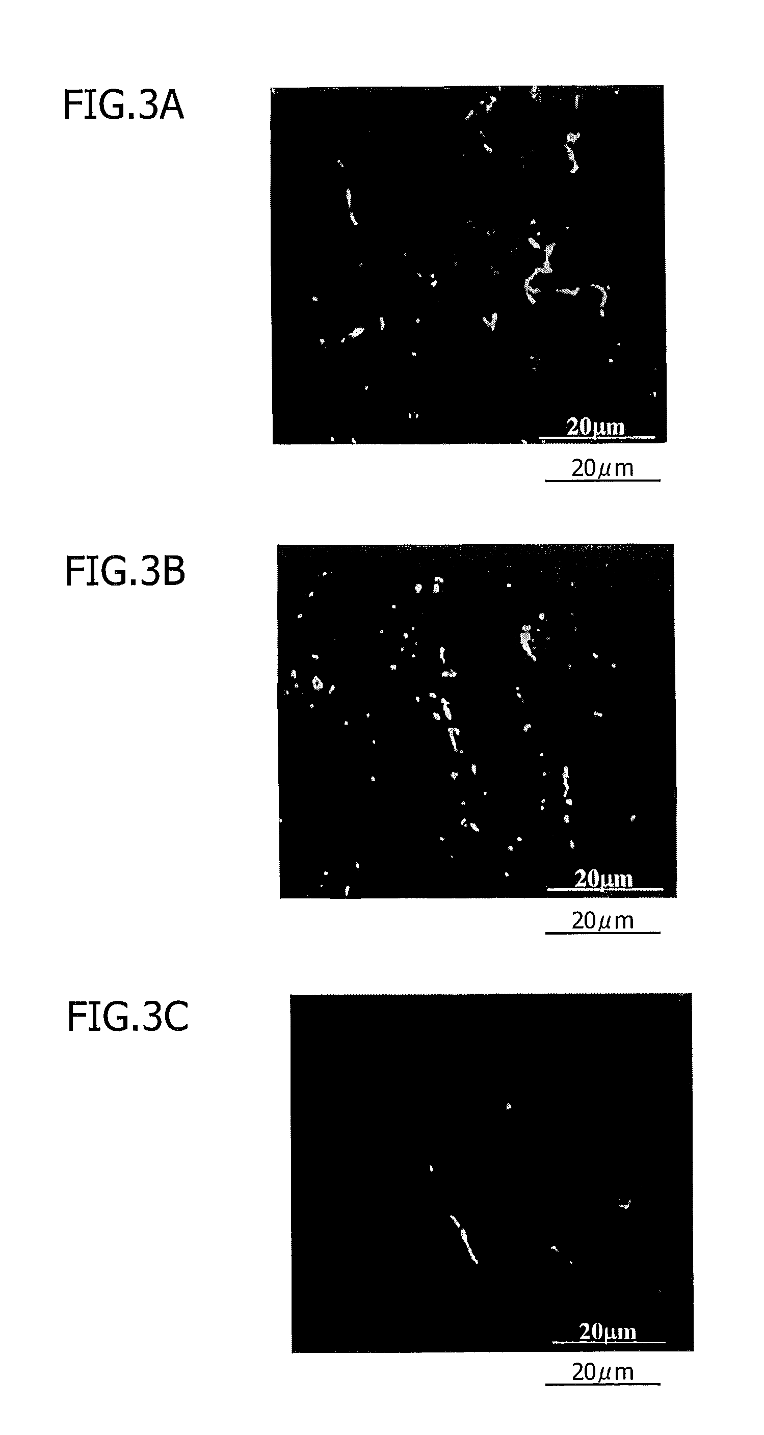 Material for treatment of cerebral infarction and brain tissue regeneration method