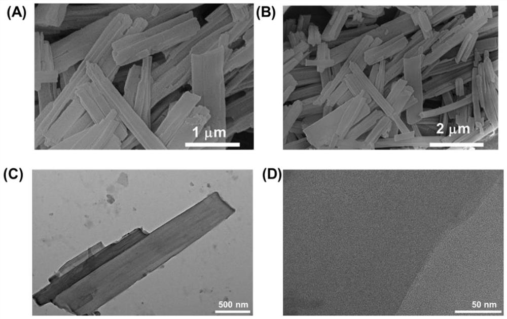 Alpha-bungarus multicinctus toxin detection probe and method for non-diagnostic purpose detection of alpha-bungarus multicinctus toxin