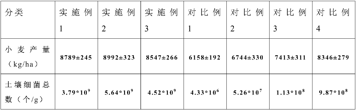 Calcium-magnesium fertilizer, preparation method and application thereof