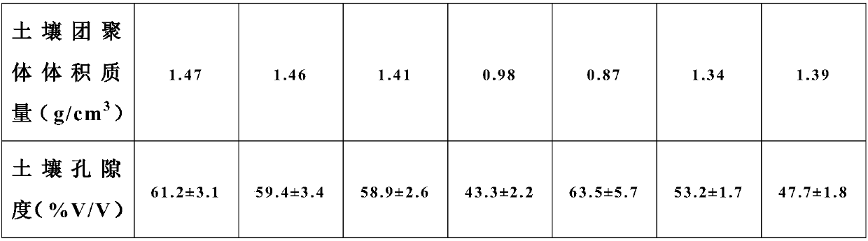 Calcium-magnesium fertilizer, preparation method and application thereof