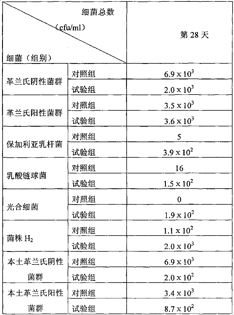 Microbial inoculum for improving water body and structure of biological intestinal colony, and preparation method and application thereof