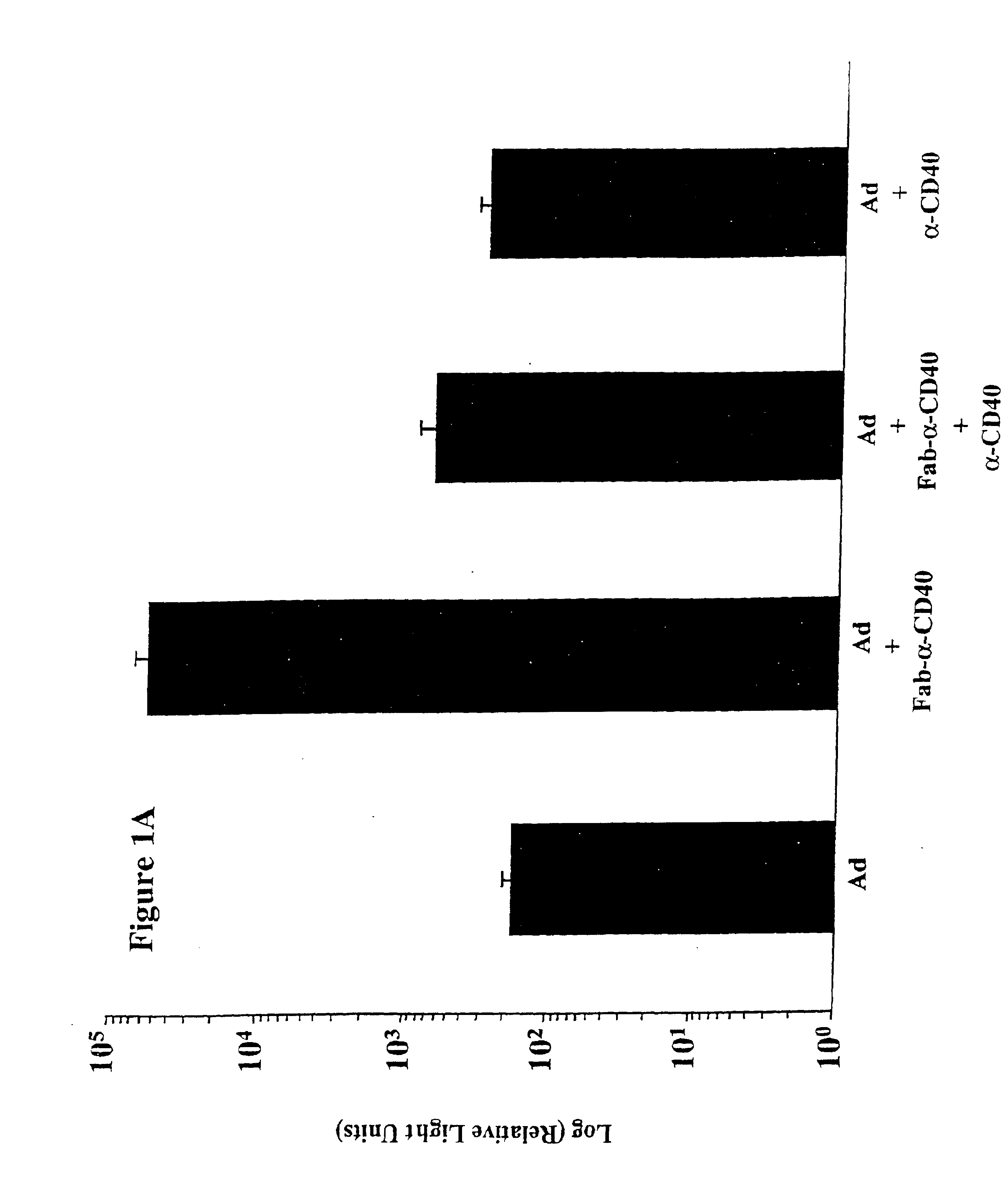 Immunomodulation by genetic modification of dendritic cells and B cells