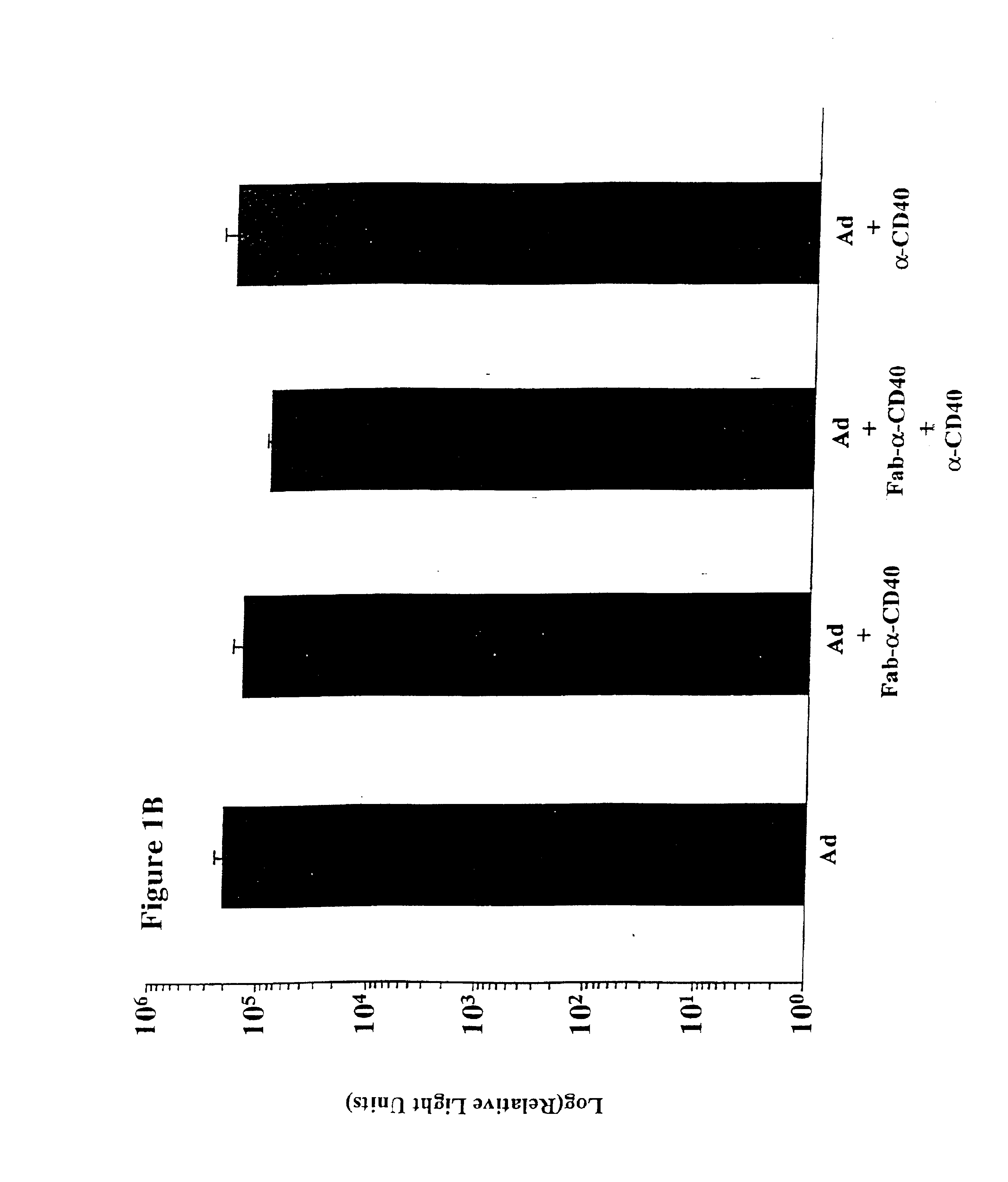 Immunomodulation by genetic modification of dendritic cells and B cells