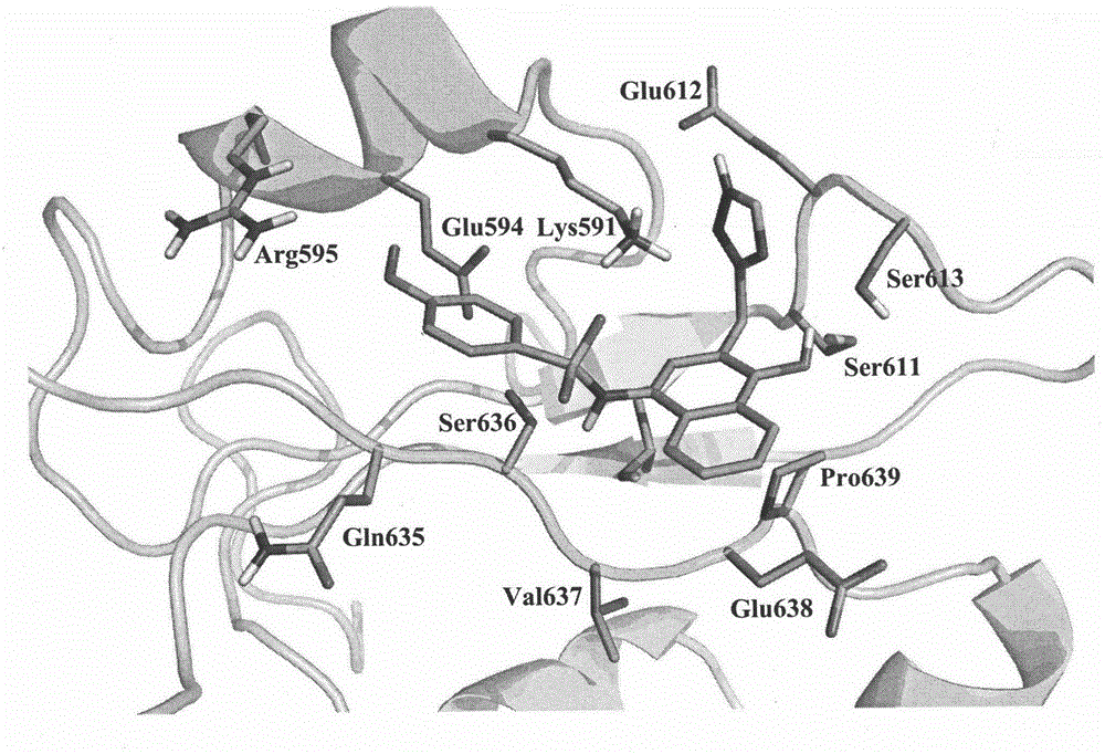 Target anti-cancer medicine based on STAT3 (Signal Transducers and Activators of Transcription type 3) protein target spot