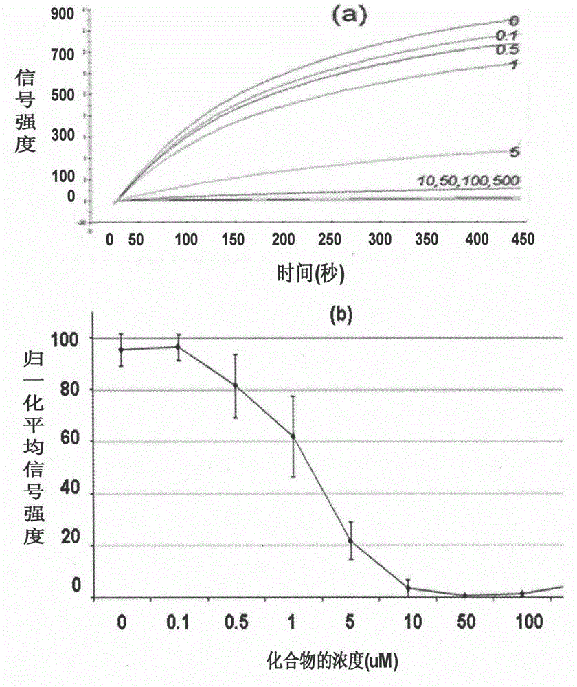 Target anti-cancer medicine based on STAT3 (Signal Transducers and Activators of Transcription type 3) protein target spot