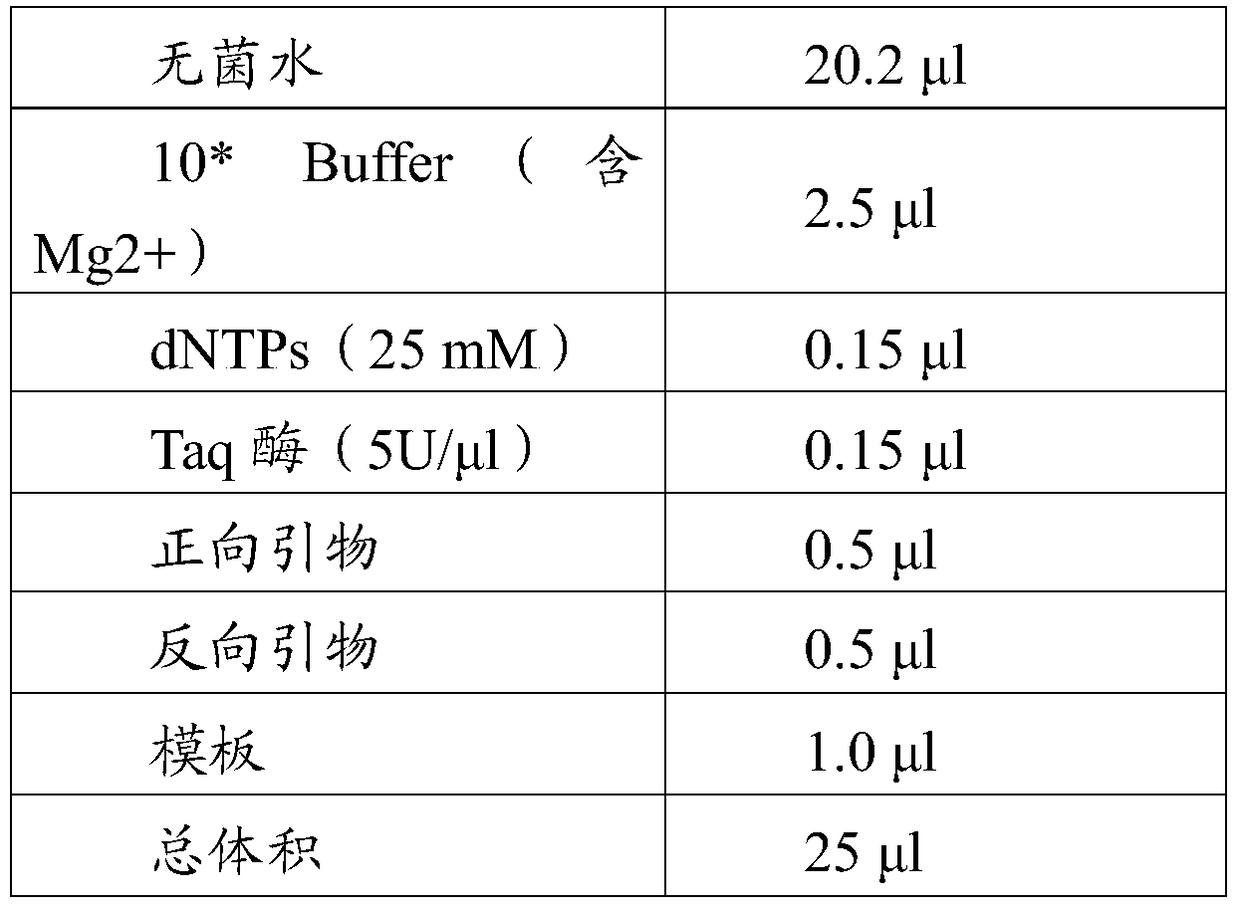 Molecular marker osblb-sv1 tightly linked to rice bacterial blight resistance gene