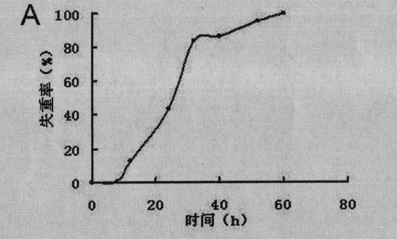 Pseudomonas and application thereof to degrading macromolecular synthetic plastics