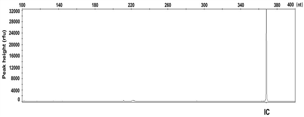 Blood flow infection pathogen multi-gene detection system, and kit and application thereof