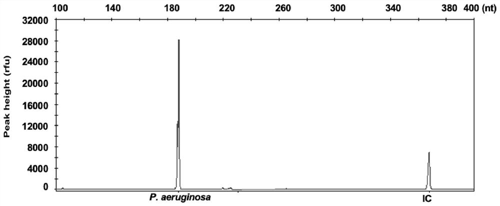 Blood flow infection pathogen multi-gene detection system, and kit and application thereof