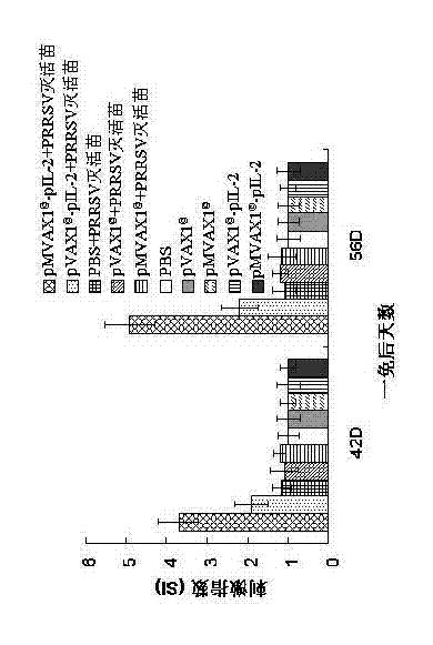 Efficiently-expressed porcine interleukin-2 gene and application of expression protein of porcine interleukin-2 gene