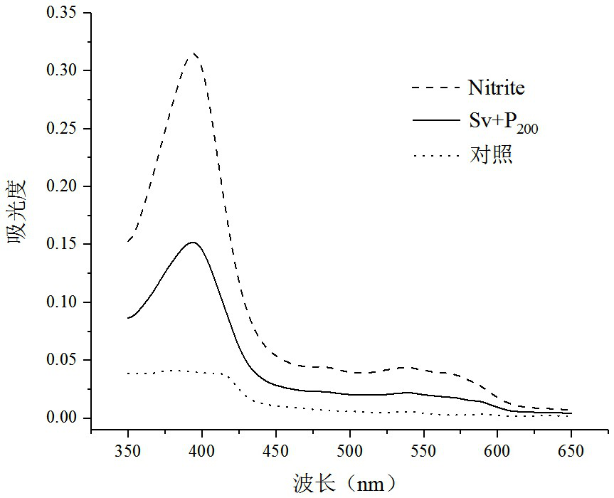 Processing method for promoting red color improvement of fermented sausage