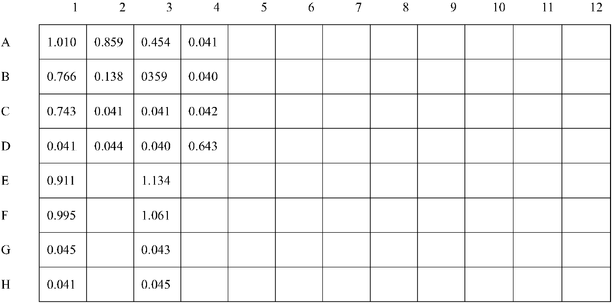 Indirect ELISA kit for detecting various animal erysipelothrix rhusiopathiae antibody, preparation method, and application of indirect ELISA kit