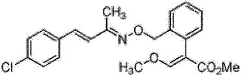 Bactericidal composition and application thereof