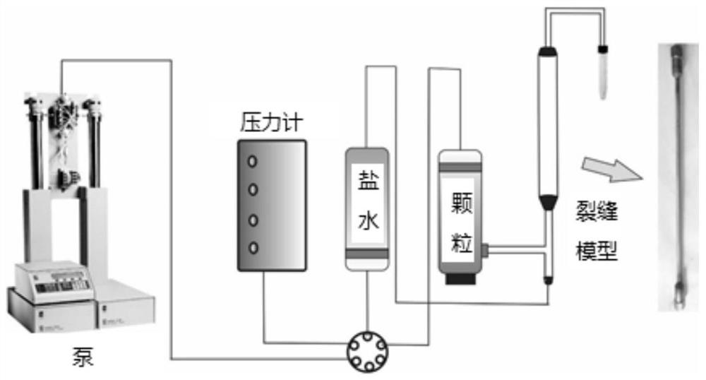 A crack plugging agent based on expandable particles and curable particles