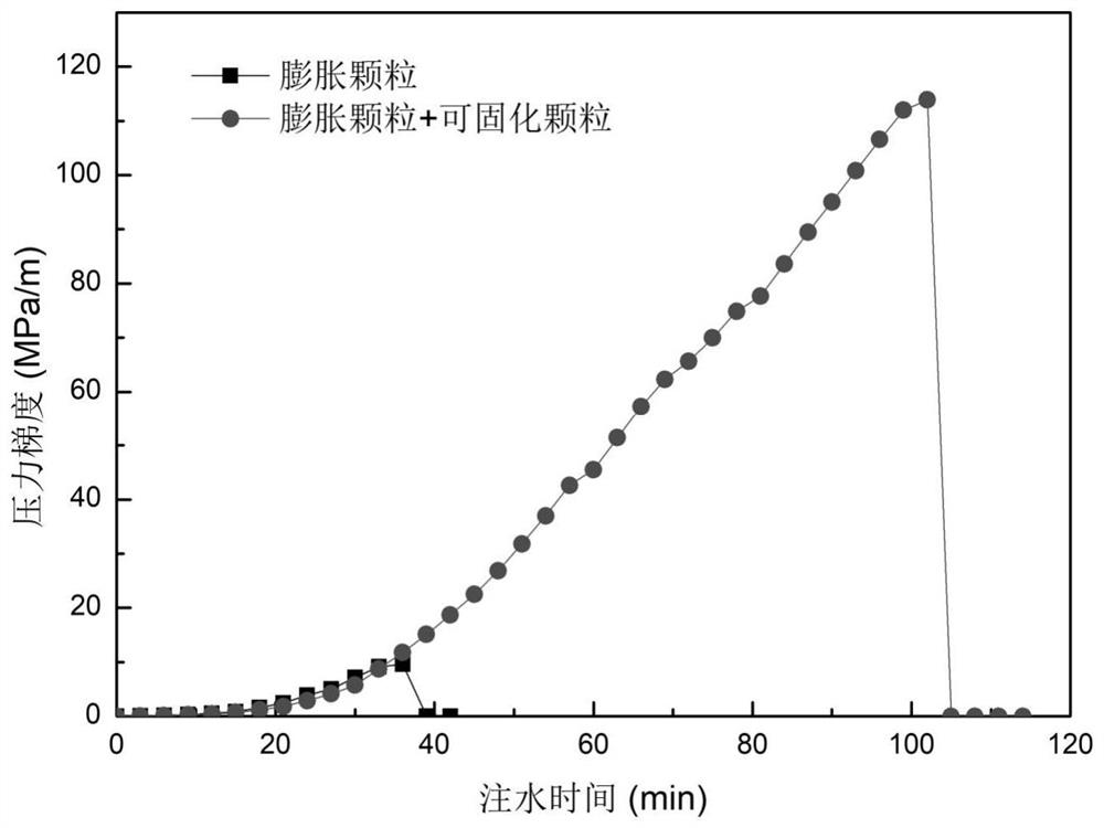 A crack plugging agent based on expandable particles and curable particles