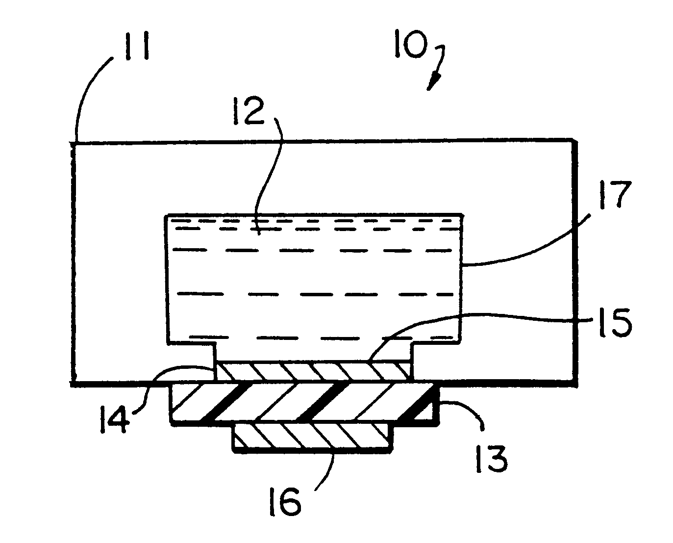 Assay sonication apparatus and methodology