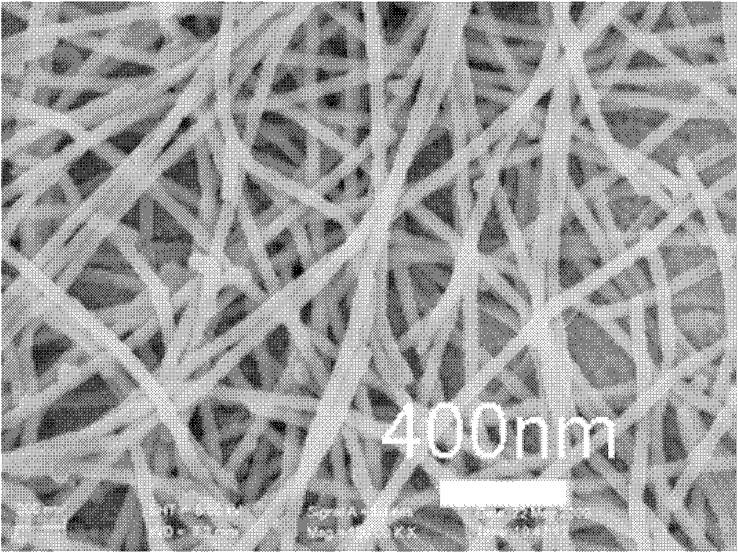 Method for preparing carbon nanofiber membrane