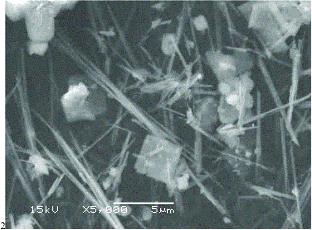 Method for recleaning vanadium-titanium magnetite concentrate through forging, oxidative alkaline leaching and de-sliming