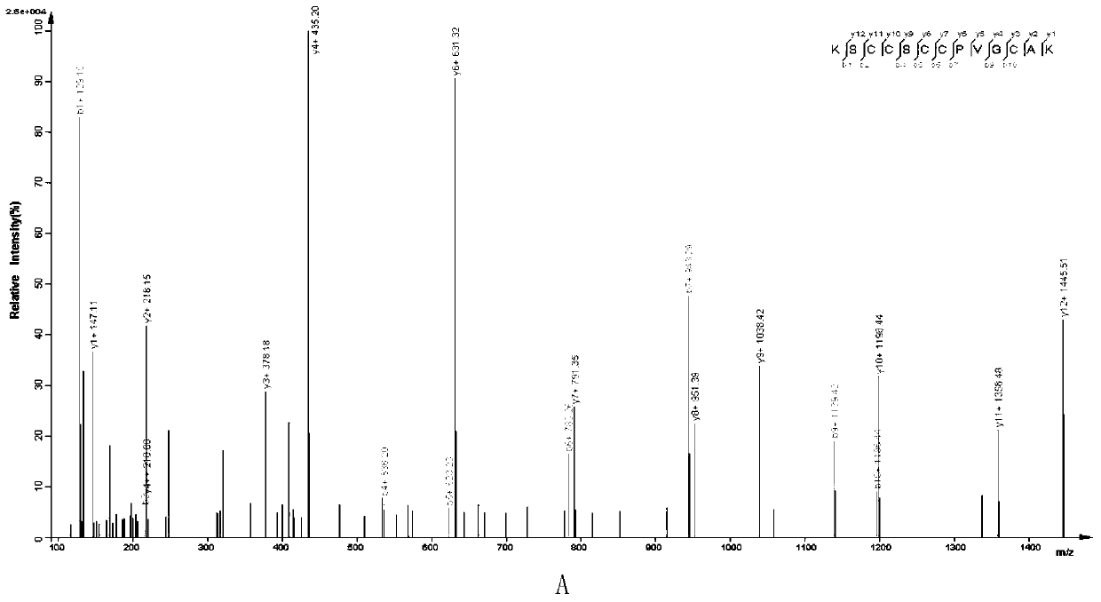 New application of metallothionein mt-2 in the preparation of asthma therapeutic drugs