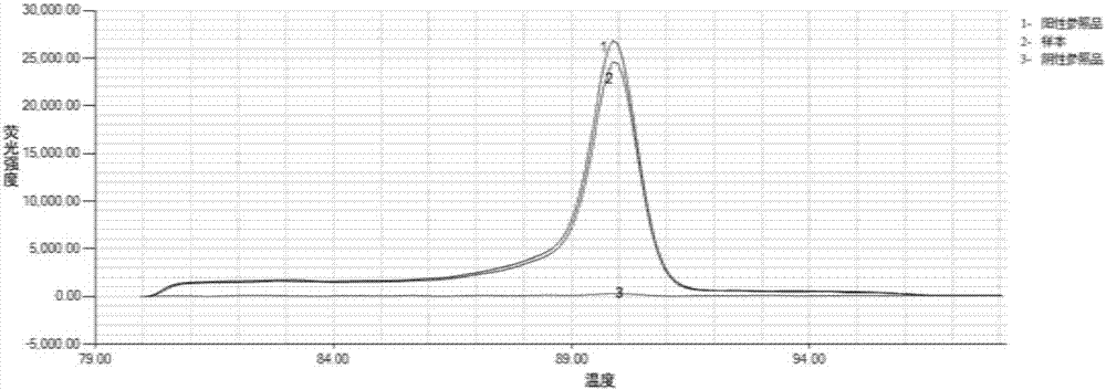 Loop-mediated isothermal amplification primer group for detecting citrus yellow shoots and kit