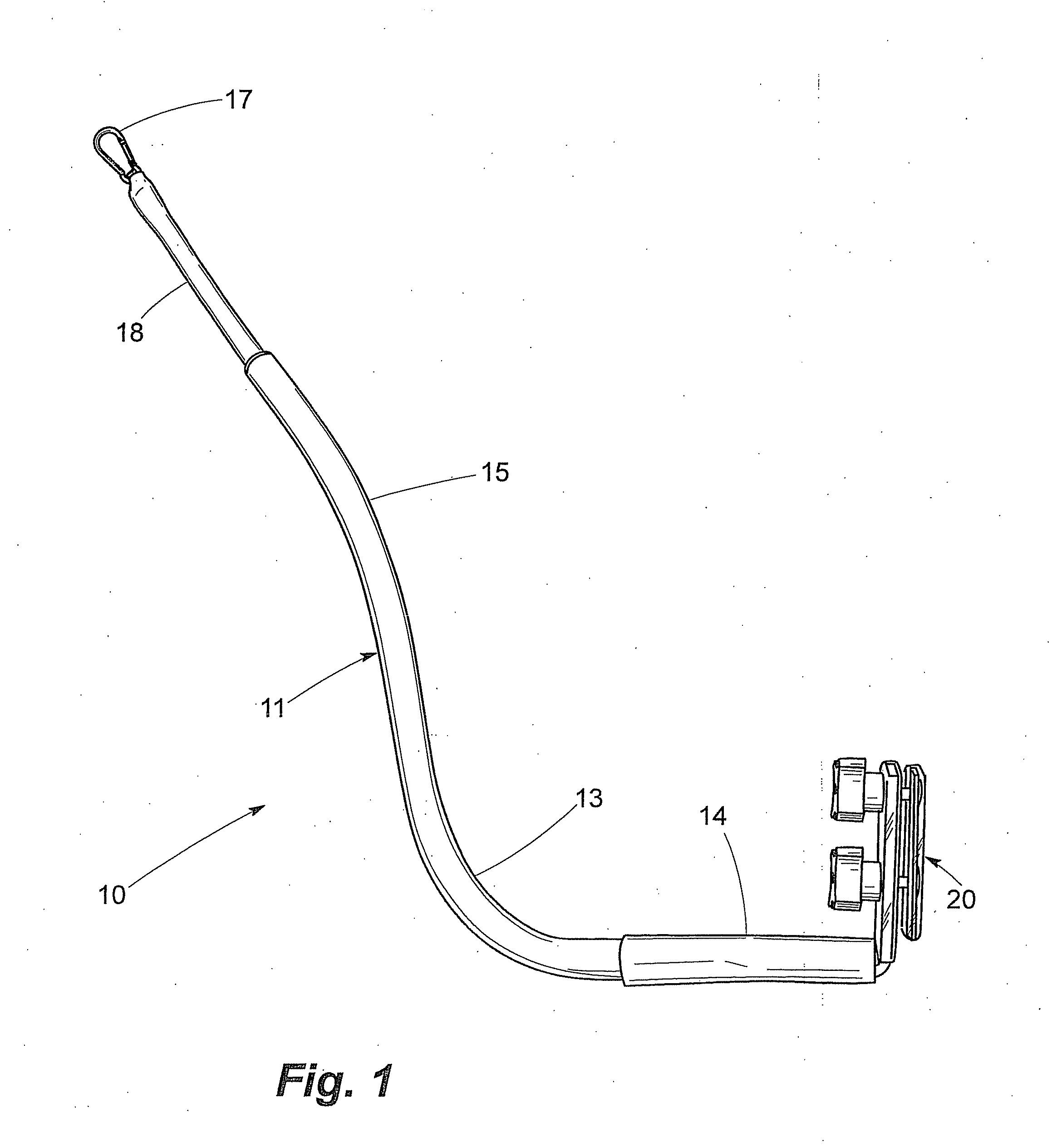 Personal carrier-mounted dog leash with distal stiffener