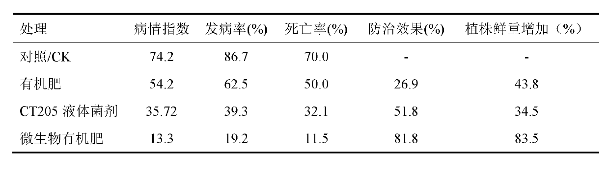 Antagonism actinomycetes for preventing and killing continuous cropping cucumber fusarium wilt and microorganism organic fertilizer with antagonism actinomycetes