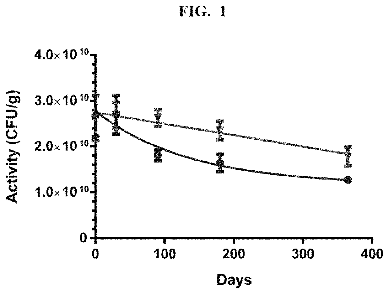 High potency stable formulations of vaginal <i>Lactobacillus</i>