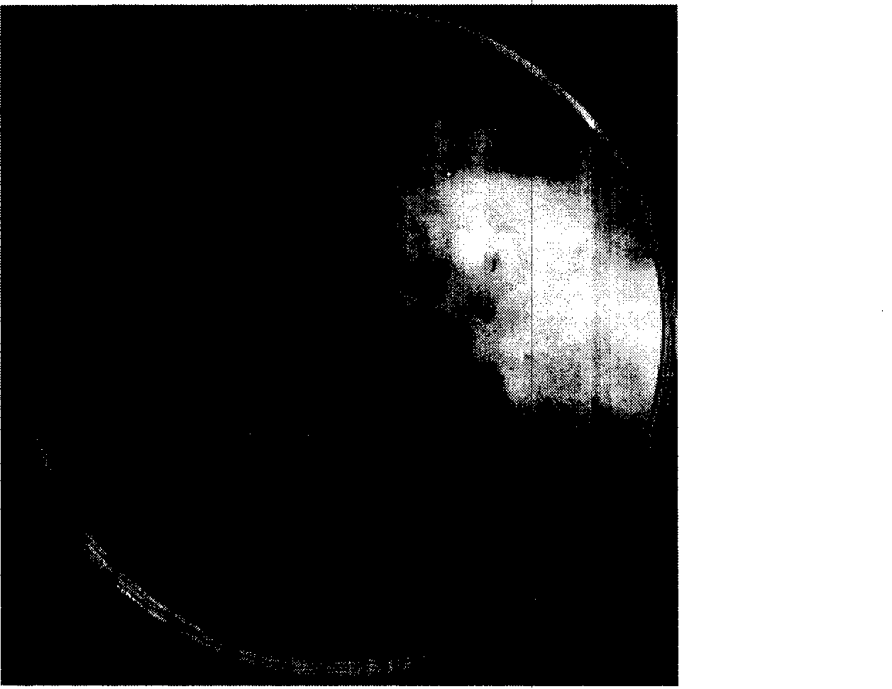 Radix astragali seed agent and clothing method thereof