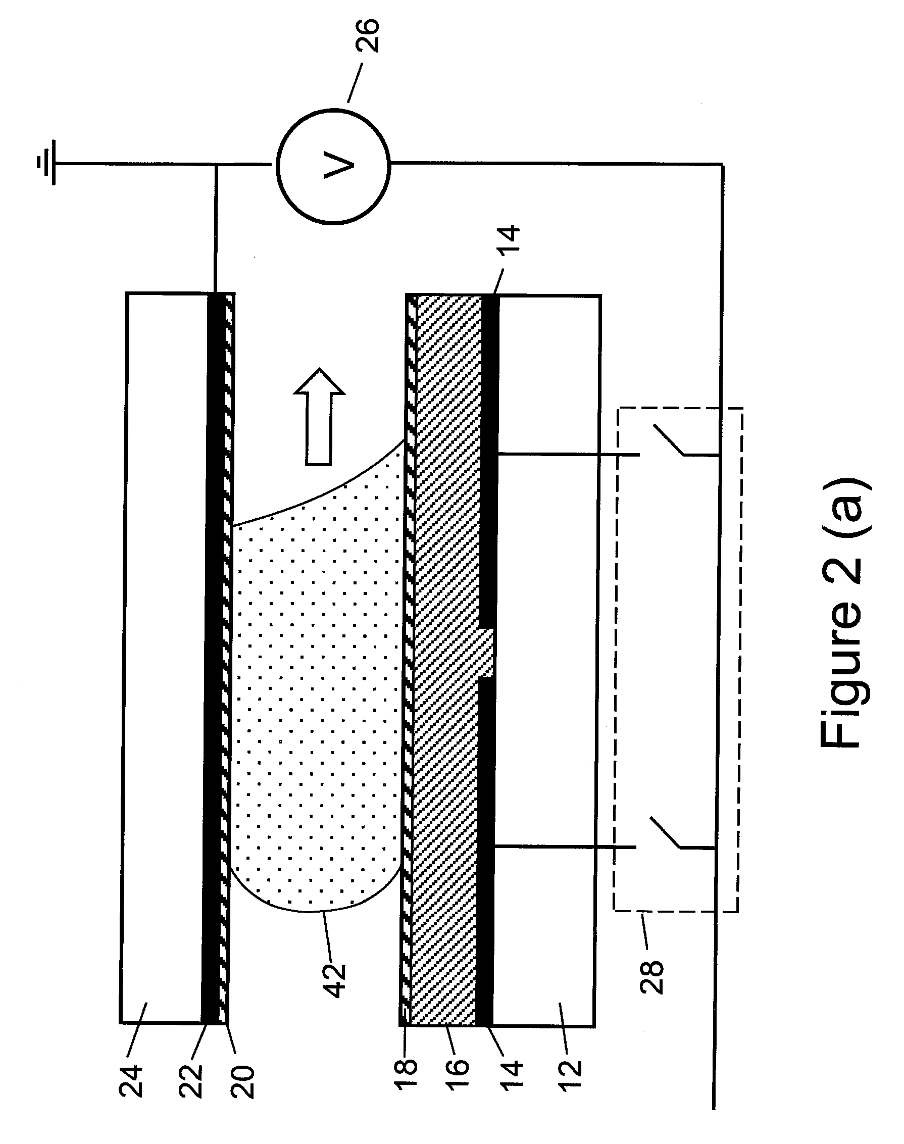 Cell culture and cell assays using digital microfluidics