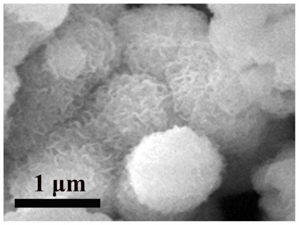 CoS-SnS-NC composite material with heterojunction structure as well as preparation method and application thereof