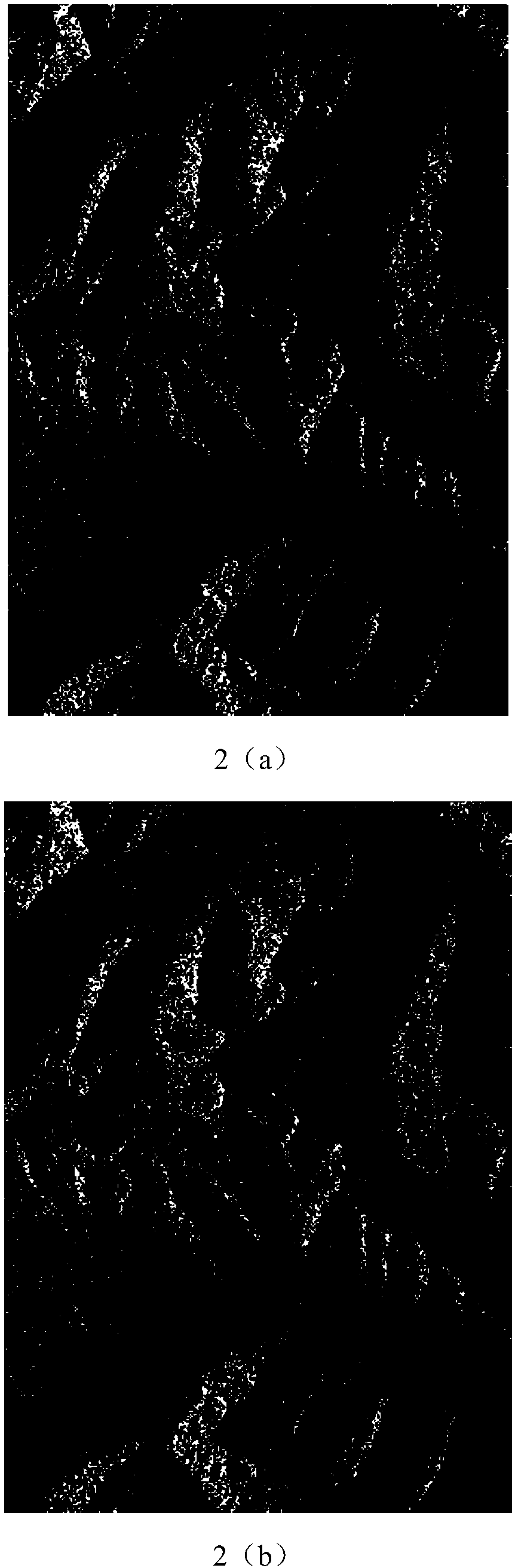 Method for automatically selecting ground control points during interference measurement of synthetic aperture radar