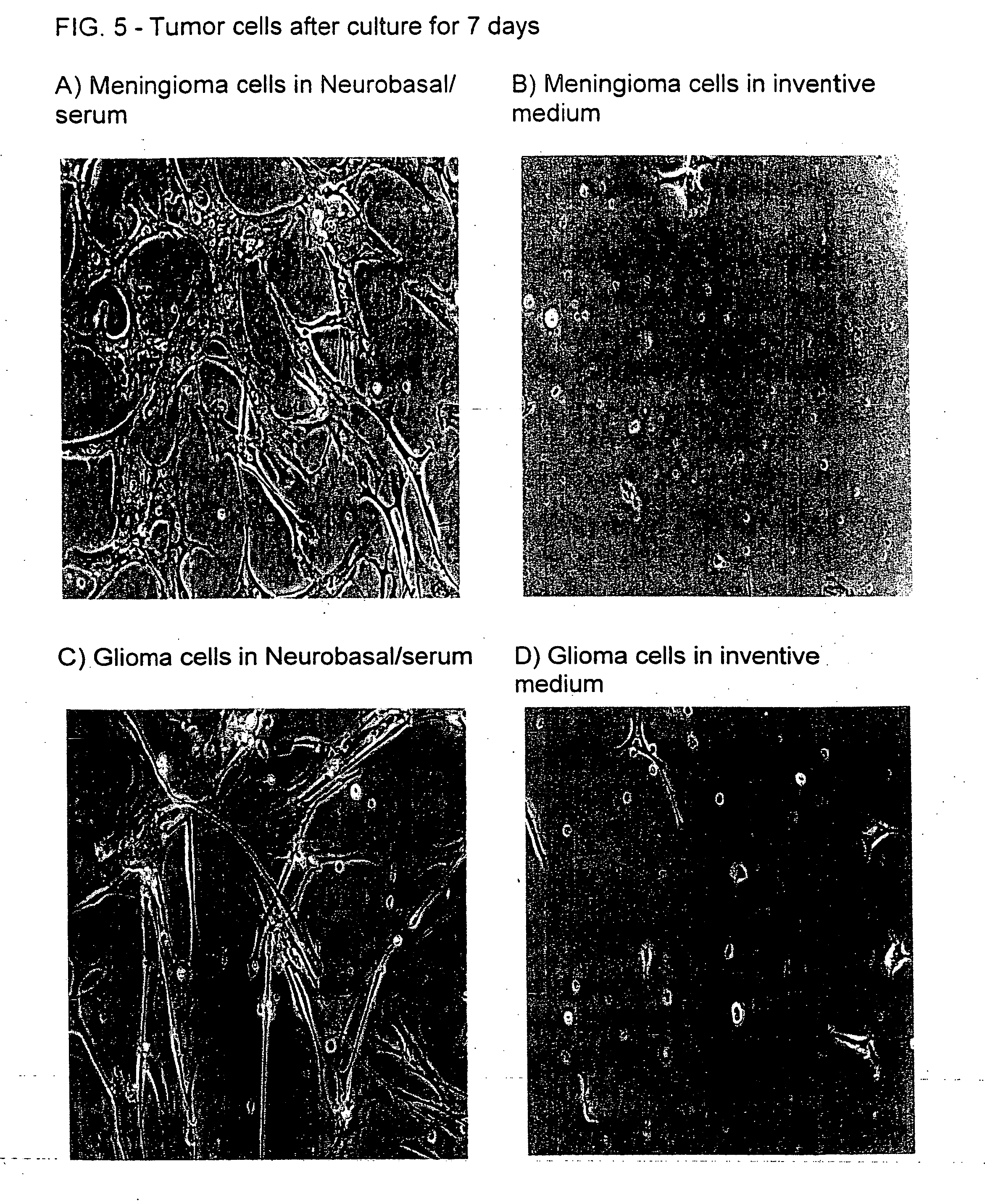 Nutrient Medium for maintaining neural cells in injured nervous system