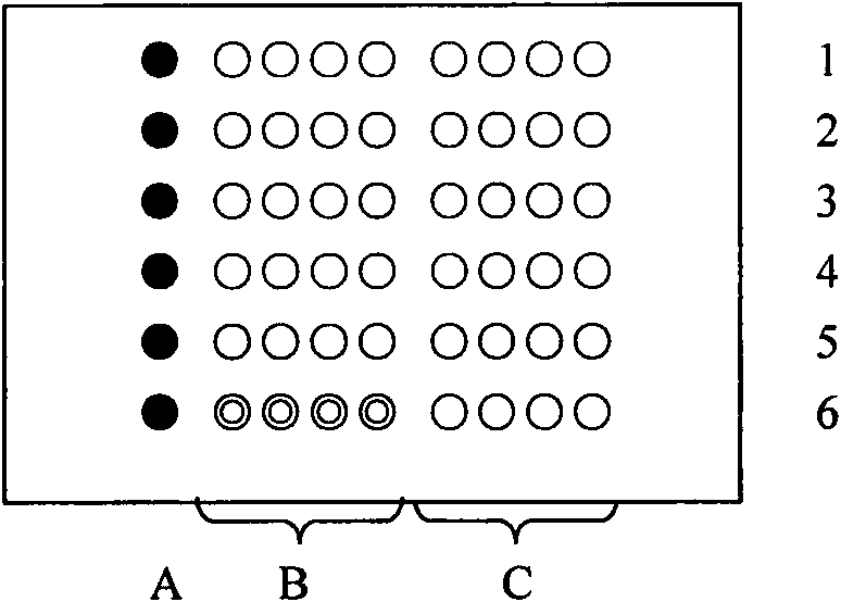 Biochip for detecting drug resistant genes of helicobacter pylori clarithromycin and preparation method and application thereof