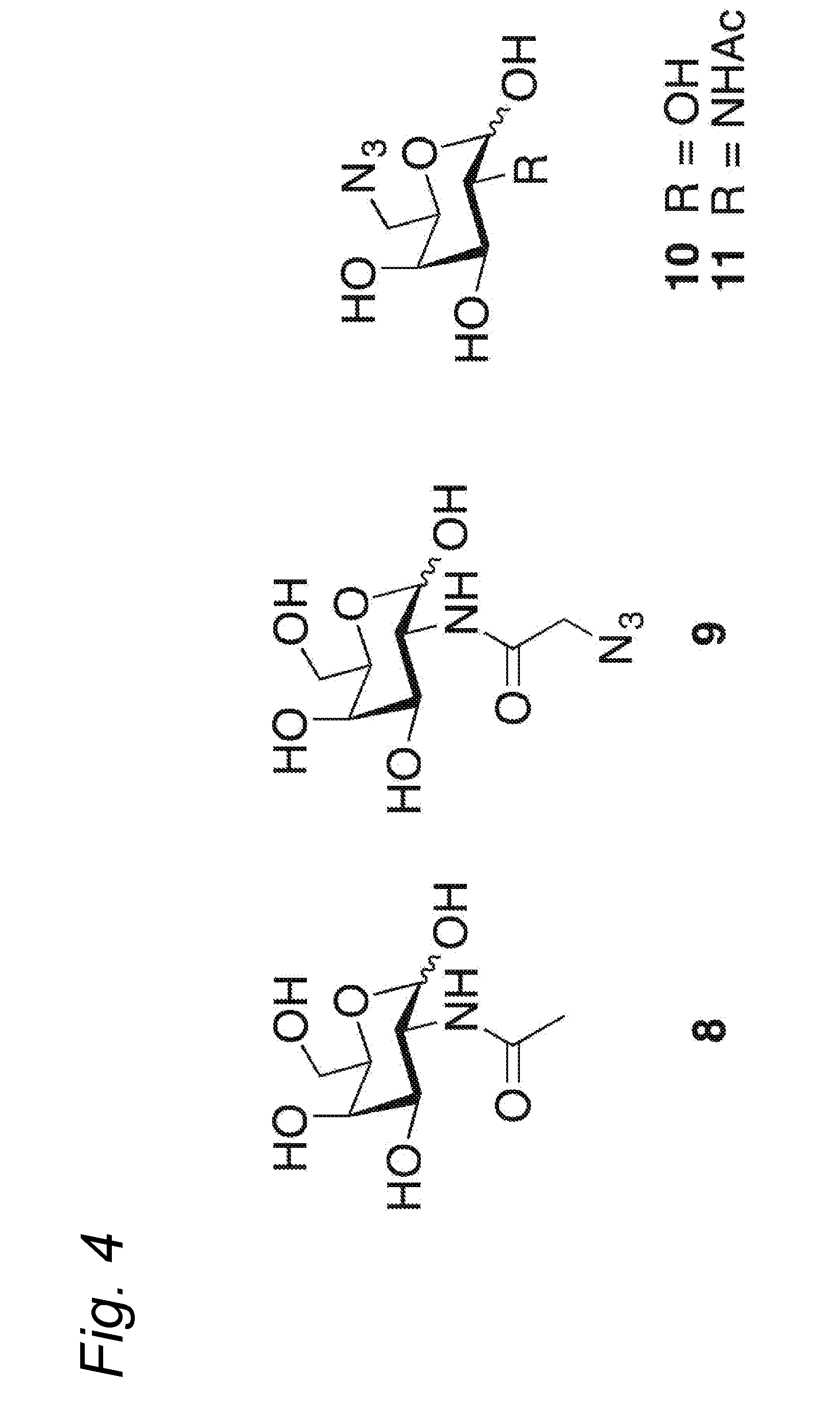 Glycoengineered antibody, antibody-conjugate and methods for their preparation