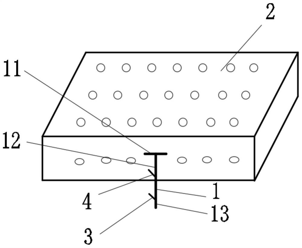 Myocardial patch with microneedle